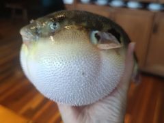 -永安鱼庄·镇江菜(丁卯店)