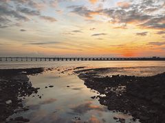 -宝安西湾红树林湿地公园