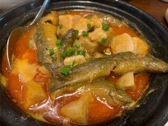 芋子泥鳅煲-四方桌·福建客家土菜(二中店)