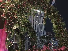 -南京眼步行桥