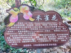 -大雁山风景区