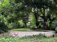 -成都市活水公园