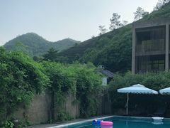 -看见远方·莫干遥远的山民宿