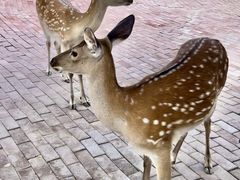 -水上乐园·欢乐世界