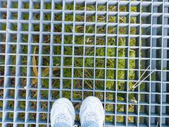 -昆山城市生态森林公园