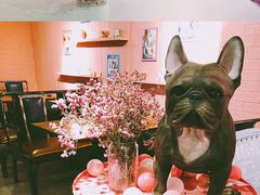 -百好乐宠物友好餐厅(朝外大街店)