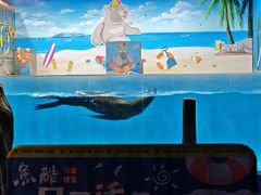 -沙沙哗啦海洋馆(华宇百花谷店)