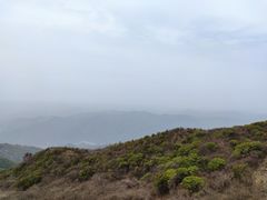 -大围山国家森林公园