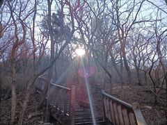 -富斯特索道
