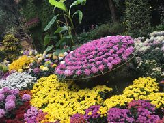 -汇龙潭