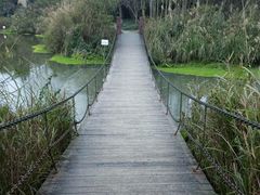 -桤木河湿地公园