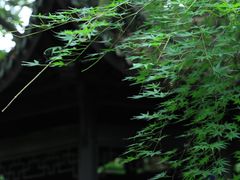 -杭州植物园