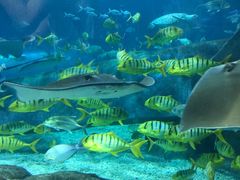 -福州罗源湾海洋世界旅游区