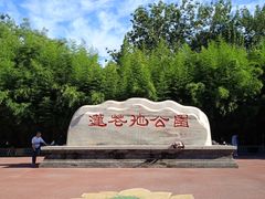 -莲花池公园