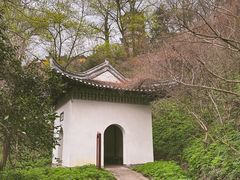 -焦山风景区