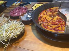 -阳阳老火锅(小南门店)