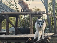 -祥源·阜阳生态乐园