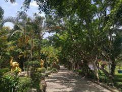 -中国科学院西双版纳热带植物园