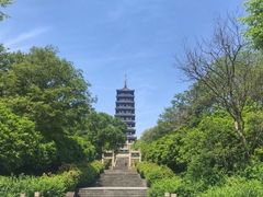 -宜兴龙背山森林公园
