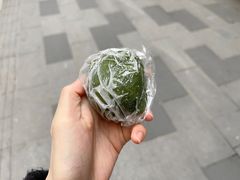 黑芝麻青团-固海糕团店