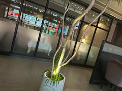 -西堤牛排(南京龙江店)