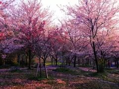 -河北省园博园