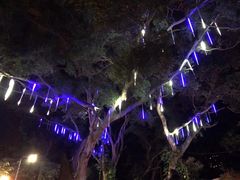 -草山夜未眠景观餐厅