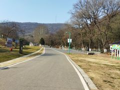 -南京老山国家森林公园