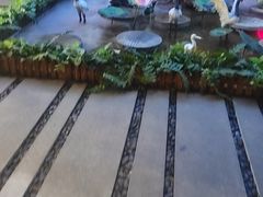 -陆琴脚艺·足浴·SPA(夫子庙店)
