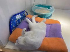 -龟与熊猫宠物公园(南坪店)