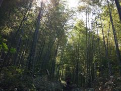 -南山风景名胜区