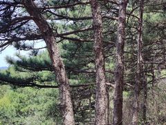 -北京十三陵国家森林公园蟒山景区