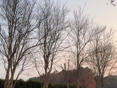 -尚贤河湿地