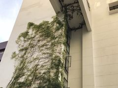 -香港大学