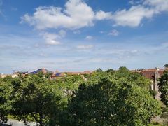 -上海崇明金茂凯悦酒店