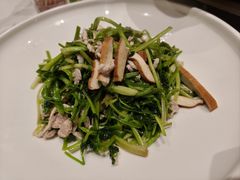 -阿露佳·舌尖上的安吉菜