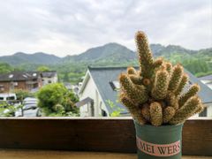 -马灯部落·西湖边的创意山景餐厅(虎跑动物园店)