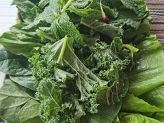 -慢丽江·云南野生菌土鸡锅(付家庄店)