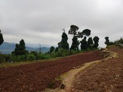 -金堂县云顶石城风景区