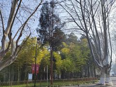-浙江大学(玉泉校区)