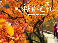 -周口店坡峰岭风景区