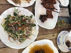 -东鸽皇(奥园·中环广场店)