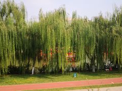 -南翠屏公园