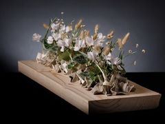 -荷兰布尔玛国际花艺学院