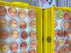 -老袁家蜜桃农场·阳山水蜜桃