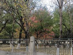 -辽宁大学(崇山校区)