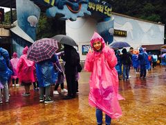 -梦幻奥陶纪景区