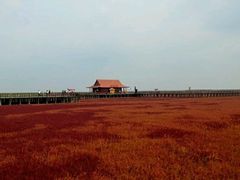 -红海滩国家风景廊道