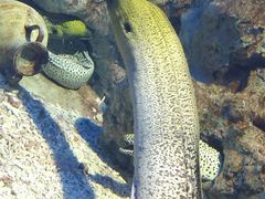 -福州罗源湾海洋世界旅游区