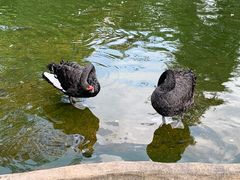 -海南热带野生动植物园